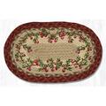 Capitol Importing Co 10 x 15 in. Cranberries Printed Oval Swatch 81-390C